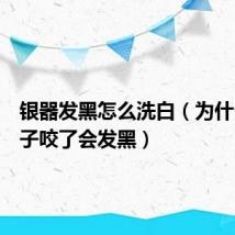 银器发黑怎么洗白（为什么被蚊子咬了会发黑）