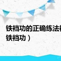 铁裆功的正确练法视频（铁裆功）