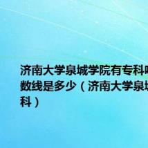 济南大学泉城学院有专科吗招生分数线是多少（济南大学泉城学院专科）