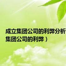 成立集团公司的利弊分析（成立集团公司的利弊）