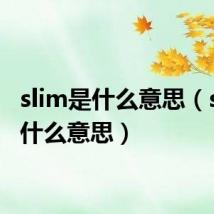 slim是什么意思（slm是什么意思）