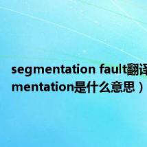 segmentation fault翻译（segmentation是什么意思）