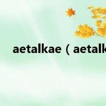 aetalkae（aetalk）