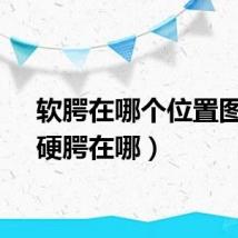 软腭在哪个位置图片（硬腭在哪）