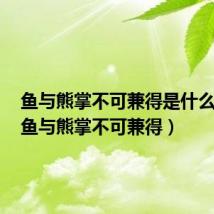 鱼与熊掌不可兼得是什么意思（鱼与熊掌不可兼得）