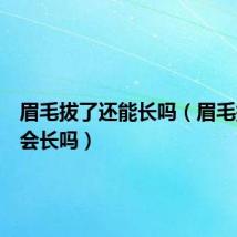 眉毛拔了还能长吗（眉毛拔了还会长吗）