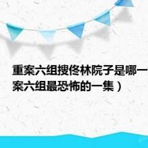 重案六组搜佟林院子是哪一集（重案六组最恐怖的一集）