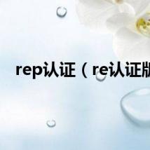 rep认证（re认证版）