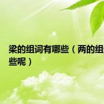 梁的组词有哪些（两的组词有哪些呢）