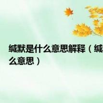 缄默是什么意思解释（缄默是什么意思）