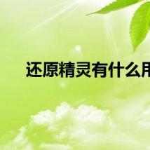 还原精灵有什么用