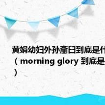 黄娟幼妇外孙齑臼到底是什么意思（morning glory 到底是什么意思）