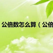 公倍数怎么算（公倍数）