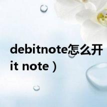 debitnote怎么开（debit note）