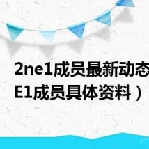 2ne1成员最新动态（2NE1成员具体资料）