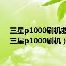 三星p1000刷机救砖（三星p1000刷机）