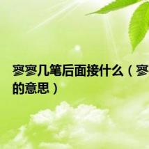 寥寥几笔后面接什么（寥寥几笔的意思）