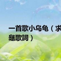 一首歌小乌龟（求小烏龜歌詞）