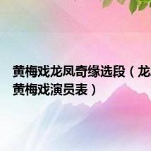 黄梅戏龙凤奇缘选段（龙凤奇缘黄梅戏演员表）