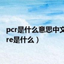 pcr是什么意思中文（pcre是什么）