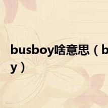 busboy啥意思（busboy）