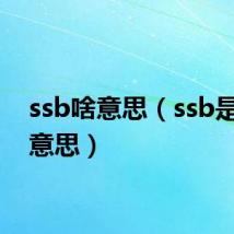 ssb啥意思（ssb是什么意思）