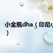 小金瓶dha（印尼小金瓶）