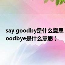 say goodby是什么意思（saygoodbye是什么意思）