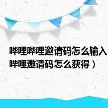 哔哩哔哩邀请码怎么输入（哔哩哔哩邀请码怎么获得）