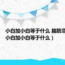 小白加小白等于什么 脑筋急转弯（小白加小白等于什么）