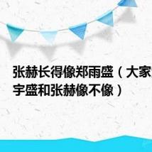 张赫长得像郑雨盛（大家觉得郑宇盛和张赫像不像）