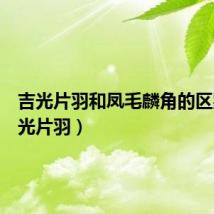 吉光片羽和凤毛麟角的区别（吉光片羽）