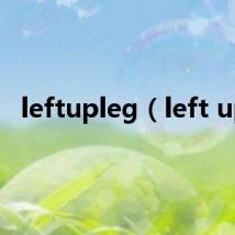 leftupleg（left up）