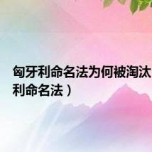 匈牙利命名法为何被淘汰（匈牙利命名法）