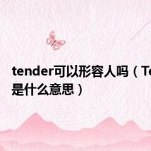 tender可以形容人吗（Tender 是什么意思）