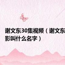 谢文东30集视频（谢文东那个电影叫什么名字）