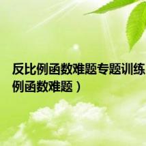 反比例函数难题专题训练（反比例函数难题）