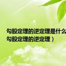 勾股定理的逆定理是什么意思（勾股定理的逆定理）