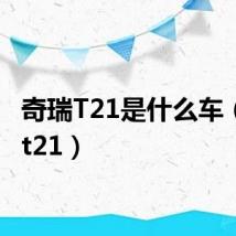 奇瑞T21是什么车（奇瑞t21）