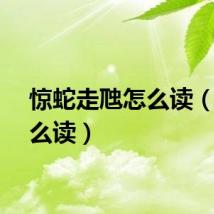 惊蛇走虺怎么读（虺怎么读）