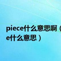 piece什么意思啊（piece什么意思）