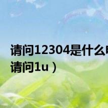 请问12304是什么电话（请问1u）