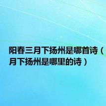 阳春三月下扬州是哪首诗（阳春三月下扬州是哪里的诗）