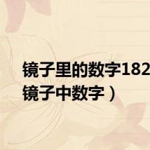 镜子里的数字18205（镜子中数字）