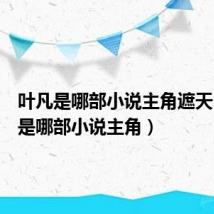 叶凡是哪部小说主角遮天（叶凡是哪部小说主角）