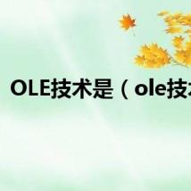 OLE技术是（ole技术）