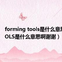 forming tools是什么意思（TOOLS是什么意思啊谢谢）