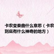 卡农变奏曲什么意思（卡农变奏曲到底有什么神奇的地方）