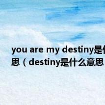 you are my destiny是什么意思（destiny是什么意思）