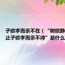 子欲孝而亲不在（“树欲静而风不止子欲孝而亲不待”是什么意思）